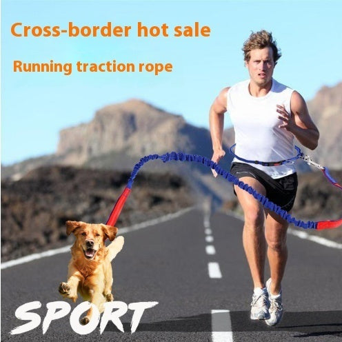 Super flexible running nylon dog rope for outdoor fun - DOM BLACK SHOP