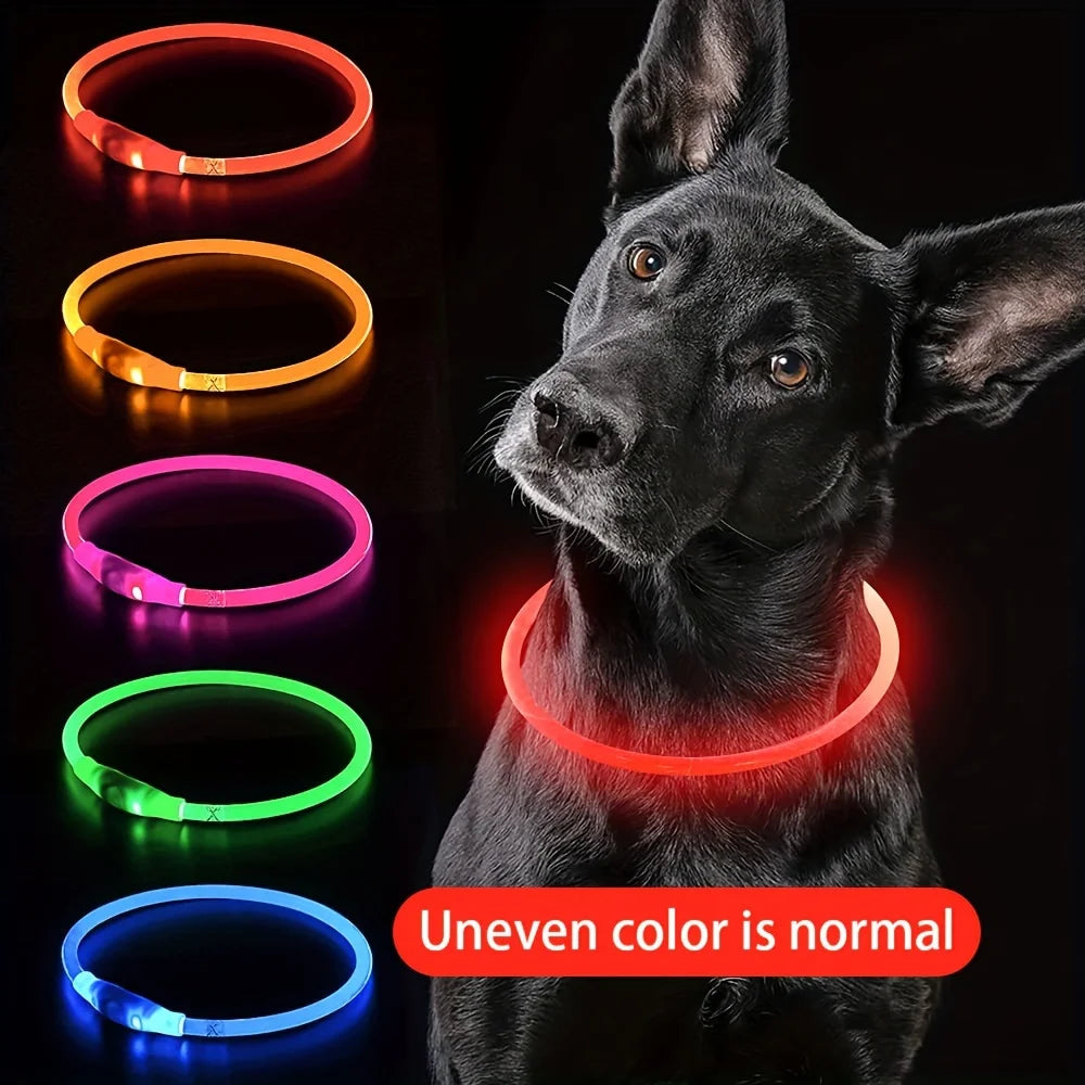 USB LED Dog Collar – Bright, Safe, and Rechargeable! - DOM BLACK SHOP