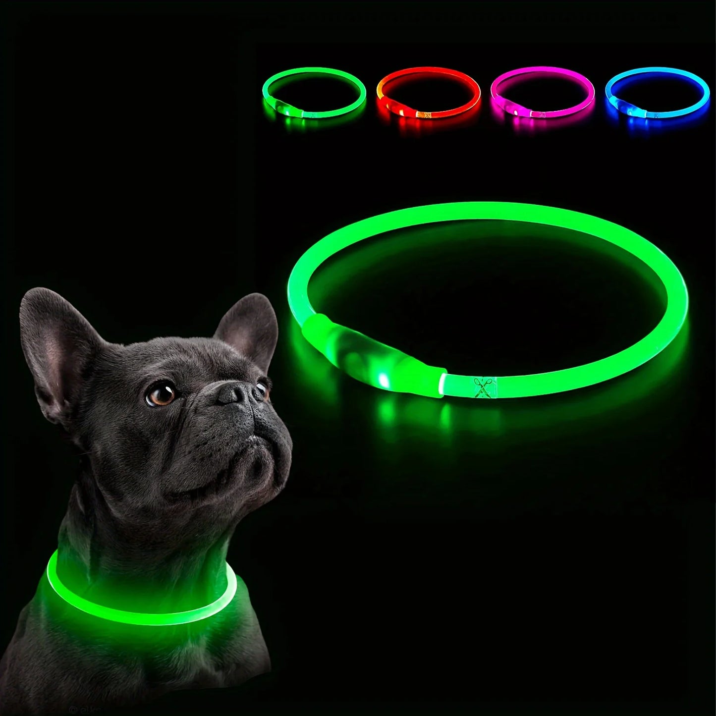 USB LED Dog Collar – Bright, Safe, and Rechargeable! - DOM BLACK SHOP