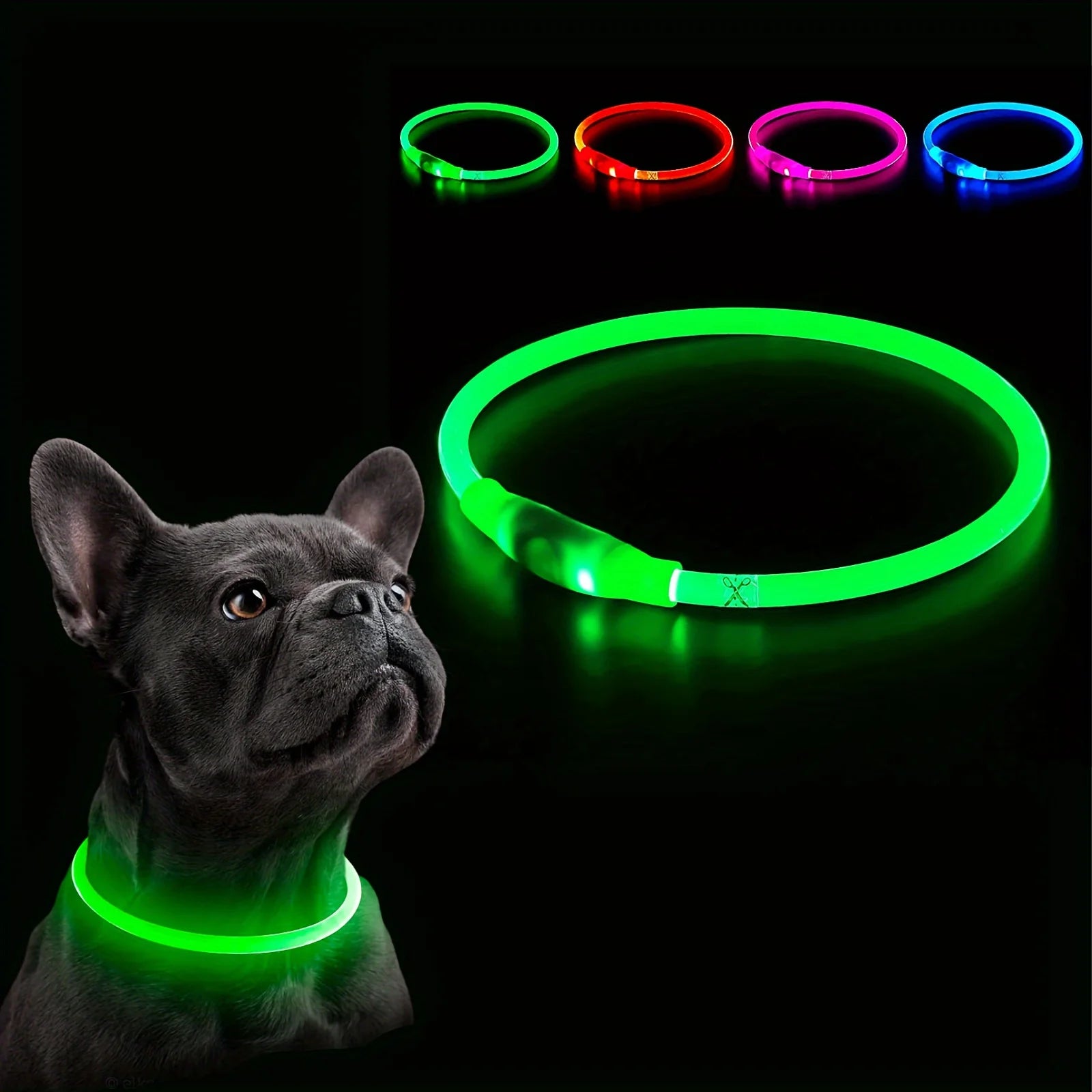 USB LED Dog Collar – Bright, Safe, and Rechargeable! - DOM BLACK SHOP